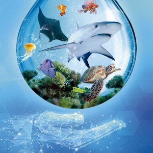 (EXP) ARK NOVA MUNDO MARINO